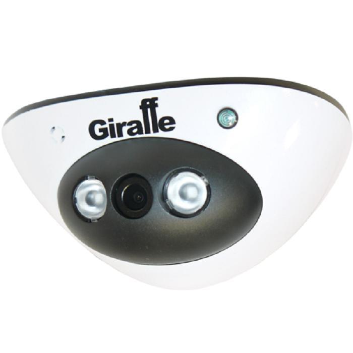 GF-IPDIR4454MPA1.0, IP-видеокамера купольная Giraffe