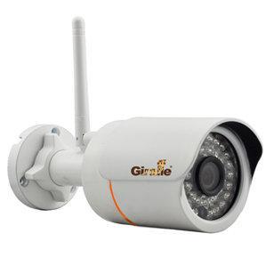 GF-IPIR4453MPWF1.0, IP-видеокамера наружной установки Giraffe