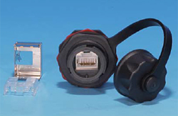 Hyperline KJ-IE-8P8C-C5e-180-SH-F-BK Промышленный модуль Keystone Jack RJ-45 (8P8C), IP67, категория 5e, с защитной крышкой, черный, экранированный (SH)