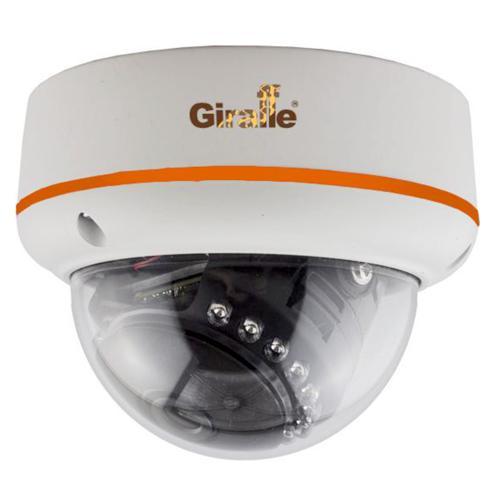 GF-IPDIR4423MPWF1.0, IP-видеокамера купольная Giraffe